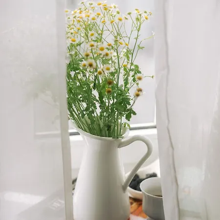 Apartment Agapella Apartamenty- Kosciuszki Centrum, Free Parking Sopot