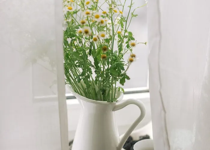 Apartment Agapella Apartamenty- Kosciuszki Centrum, Free Parking Sopot